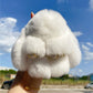⏳LETZTER TAG DES AUSVERKAUFS: € 8.99!!🏆🐰 Handgefertigte Pompon-Hasen-Anhänger – jedes Stück ein Unikat, kuschelig weich & detailverliebt 🎀🎁 Perfekt als persönliches Geschenk oder frühlingshafte Deko 2